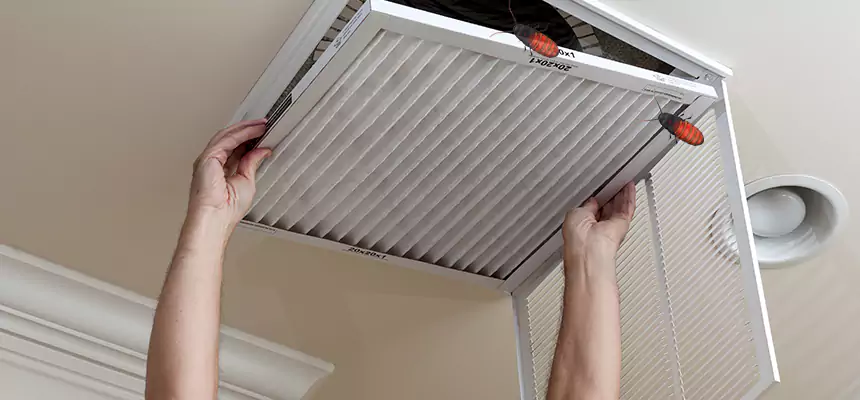 Preventive Cockroach-Proofing for Ducts in West Jordan