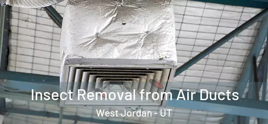  Insect Removal from Air Ducts West Jordan - UT