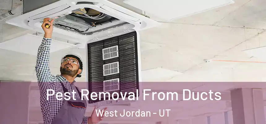  Pest Removal From Ducts West Jordan - UT