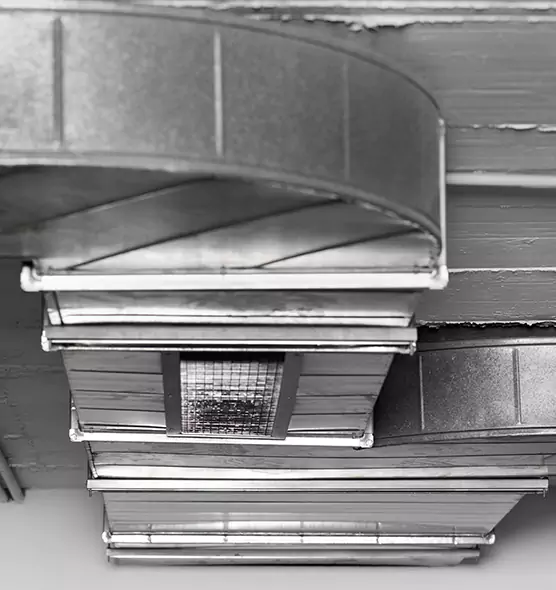 Professional Air Duct Pest Removal in West Jordan, UT