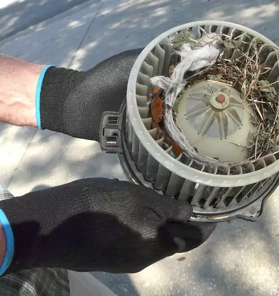 About Air Duct Rat Removal in West Jordan, UT